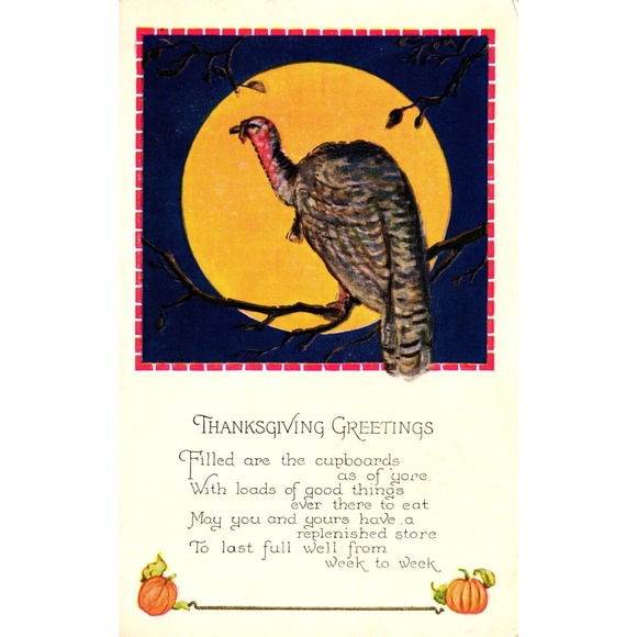 Postcard Thanksgiving Greetings Turkey on Branch in Full Moon Unposted c1910 - Picture 1 of 2